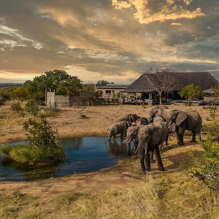 Imagine Africa Luxury Tented Camp Balule Doğa Koruma Alanı Dış mekan fotoğraf