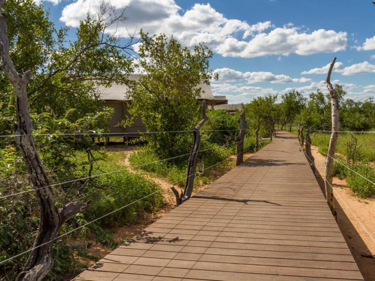 Imagine Africa Luxury Tented Camp Balule Doğa Koruma Alanı Dış mekan fotoğraf