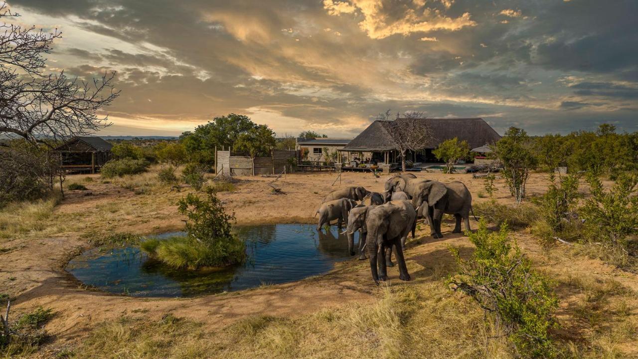 Imagine Africa Luxury Tented Camp Balule Doğa Koruma Alanı Dış mekan fotoğraf
