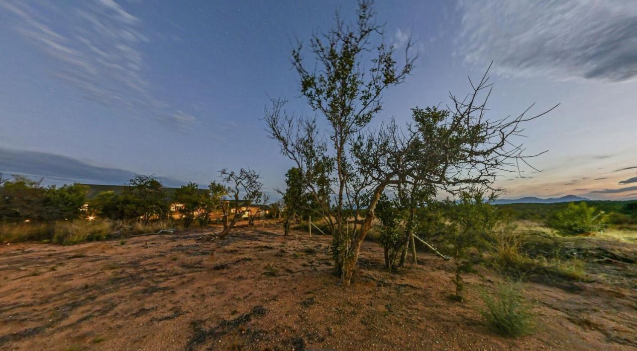 Imagine Africa Luxury Tented Camp Balule Doğa Koruma Alanı Dış mekan fotoğraf