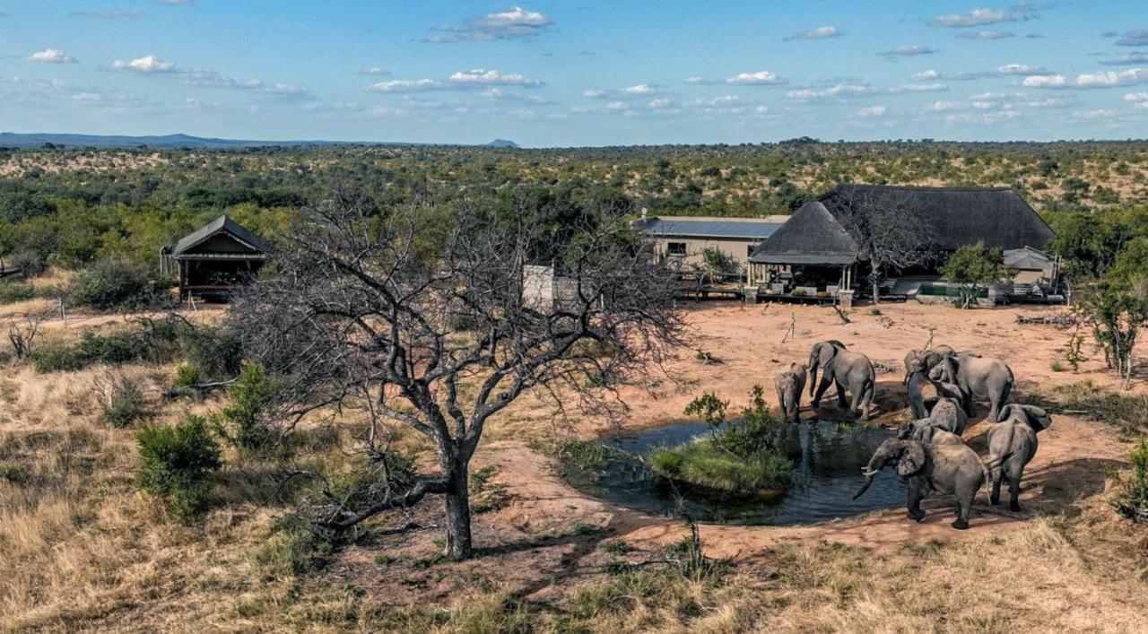 Imagine Africa Luxury Tented Camp Balule Doğa Koruma Alanı Dış mekan fotoğraf