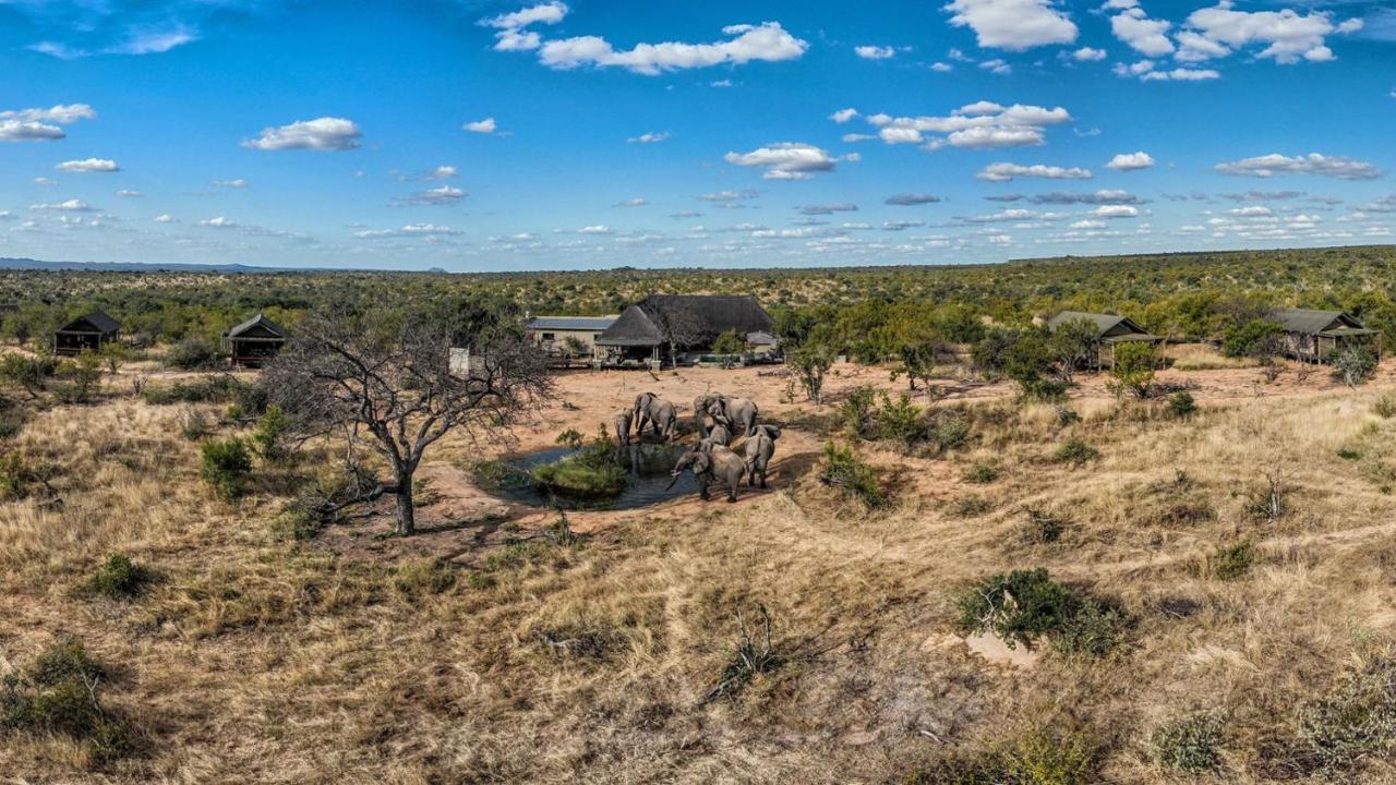 Imagine Africa Luxury Tented Camp Balule Doğa Koruma Alanı Dış mekan fotoğraf