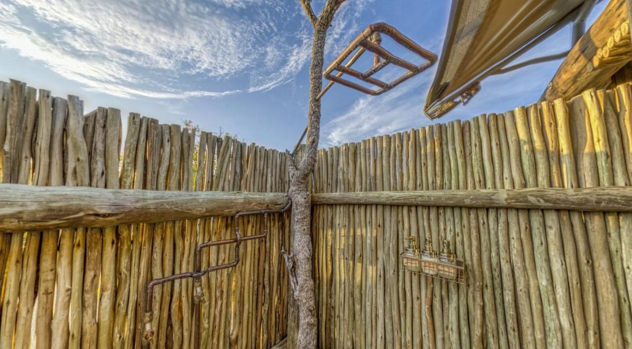Imagine Africa Luxury Tented Camp Balule Doğa Koruma Alanı Dış mekan fotoğraf